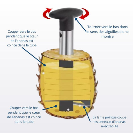 Éplucheur d'Ananas en Acier Inoxydable - Fonctionnement | udealmart.com